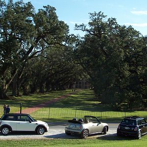 Lizzie at Oak Alley Plantation in Louisiana