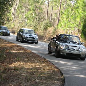 At the Silver River State Park in Ocala