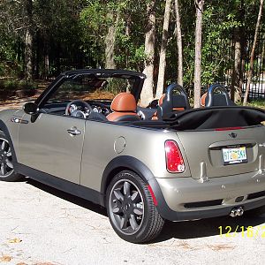 Rear view of Lizzie when I first brought her home