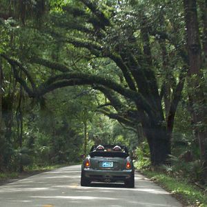 The Ormond Loop