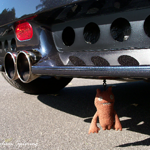 06-Scrappy2009_by_Melissa_spiering