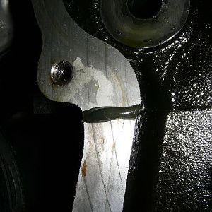 Gasket Sealant Bead