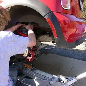 pic30 - reattach shock top bolts