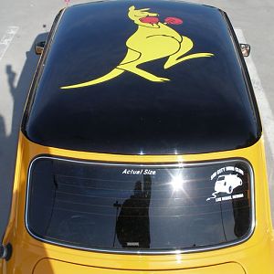 roofgraphic