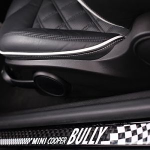 Bully_31