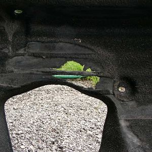 Worn Wheel Liner Right