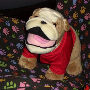 That bulldog did it!!!!!  paw prints everywhere!!