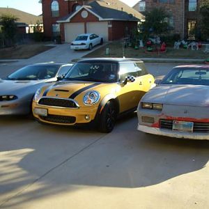 Brutus and his American Muscle brothers