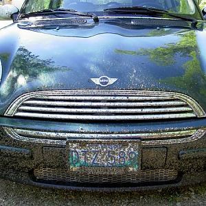 12064Picture_182_Medium_
