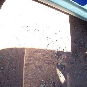 Reflection off Tryon's MINI