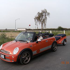 AMVIV "7"