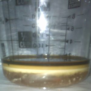BSH catch can