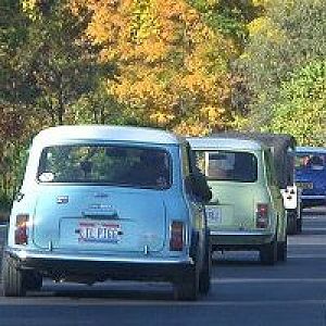 blue_mini_in_tenn
