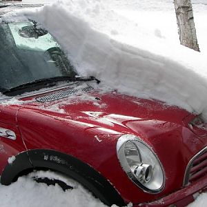 mini71