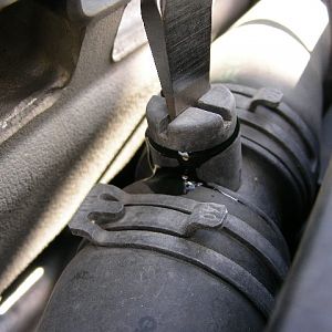 Coolant Bleed Screw