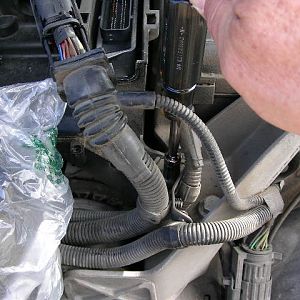 Air Box Base Bolt