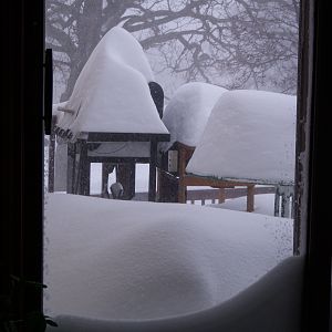 0333