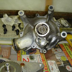 Leaking Water Pump