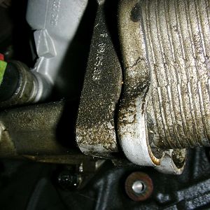 Engine Oil Cooler Leak