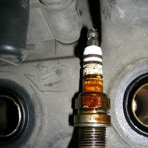Oil on Spark Plug