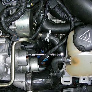 R56 DV Removal