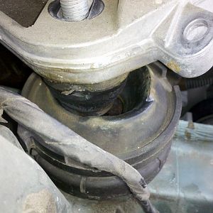 Separated Hydraulic Engine Mount