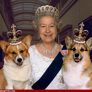 Queen