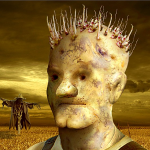 patato_head