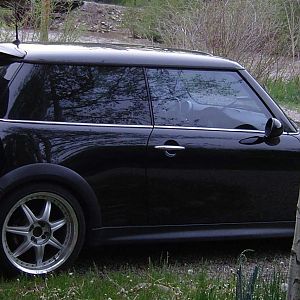 Mini at the West Fork, Dolores, CO