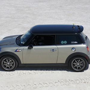 Daphne_at_White_Sands