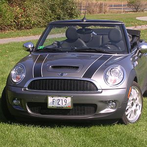 Moms Mini In The Park