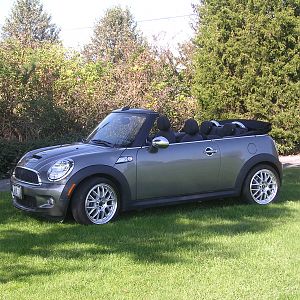 Moms Mini In The Park