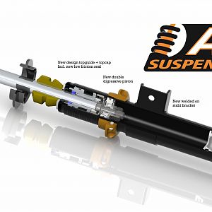 AST Suspension