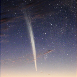 lovejoy