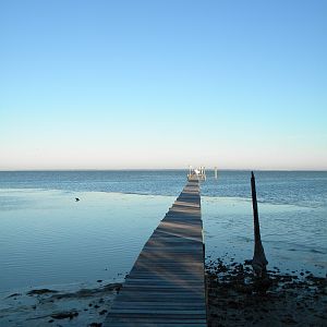 Florida_10_010