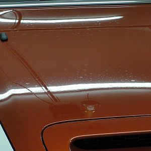 Bonnet Before