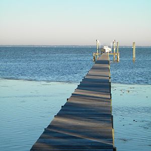 Florida_10_009_1368_x_1824_