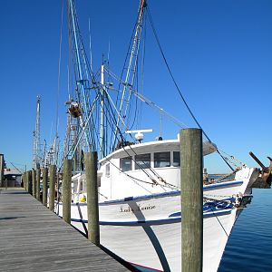 Florida_10_029_1368_x_1824_