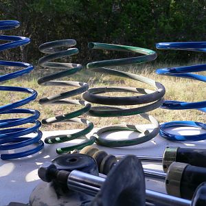 Counterfeit Tein Springs