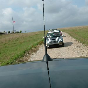 Mini's at the Safari