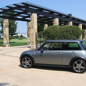 MINI in the Spring 1