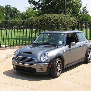 MINI in the Spring 2