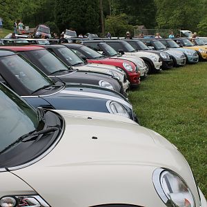 A curve of MINIs