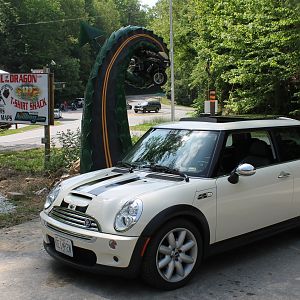 MINI_at_the_Tail