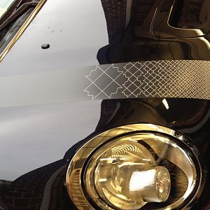 Phineus - Soda Stripes Added