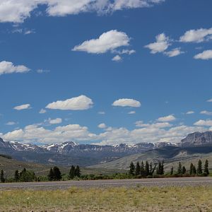 IMG_20631