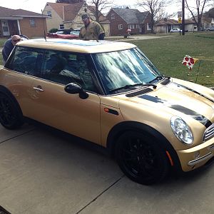 Goldmember