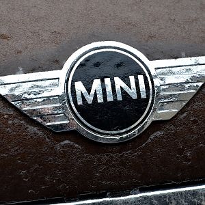 Frozen MINI