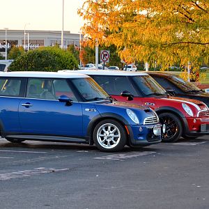 Blu MINI