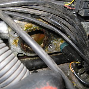 thermostat replacement